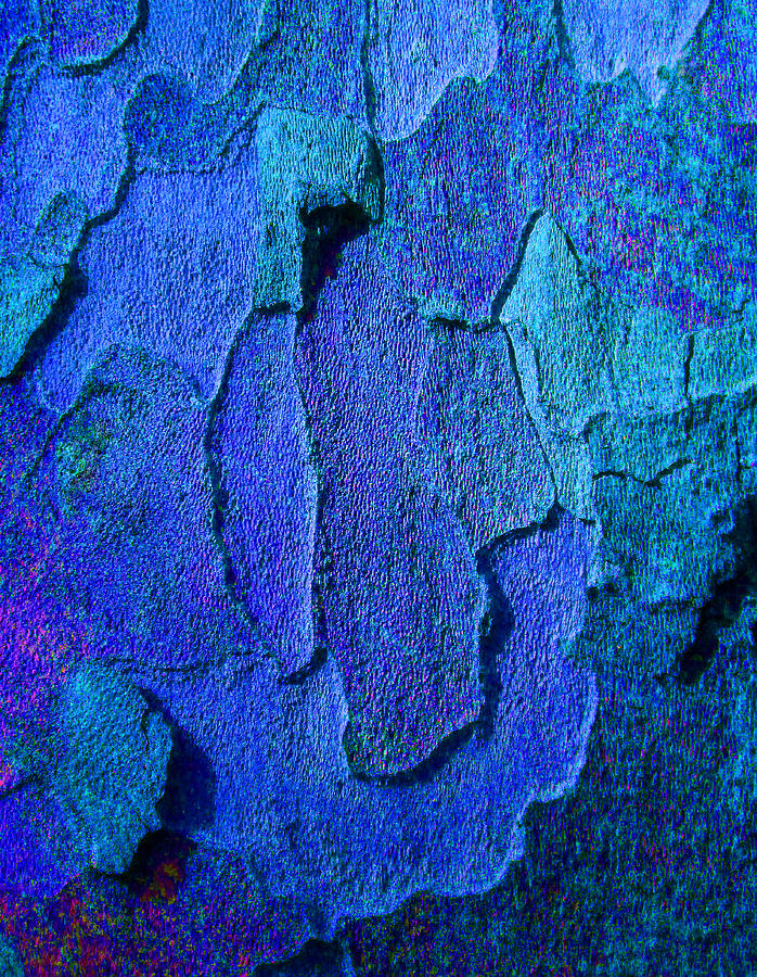 Winter London Plane Tree Abstract 4 Photograph by Margaret Saheed