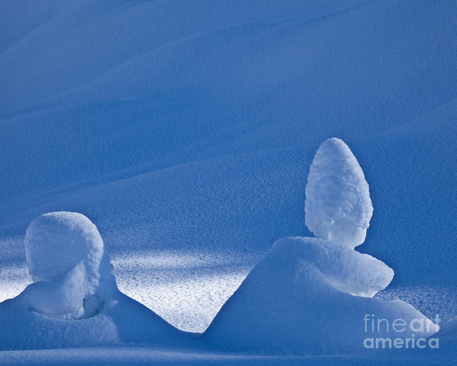 Winter Magic Photograph by Edmund Nagele FRPS