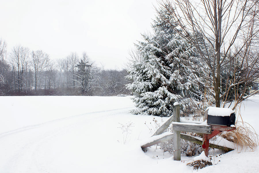 Winter Mail Photograph by Michelle Joseph-Long