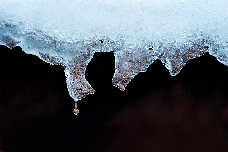 Winter Melting Photograph by Joan Herwig