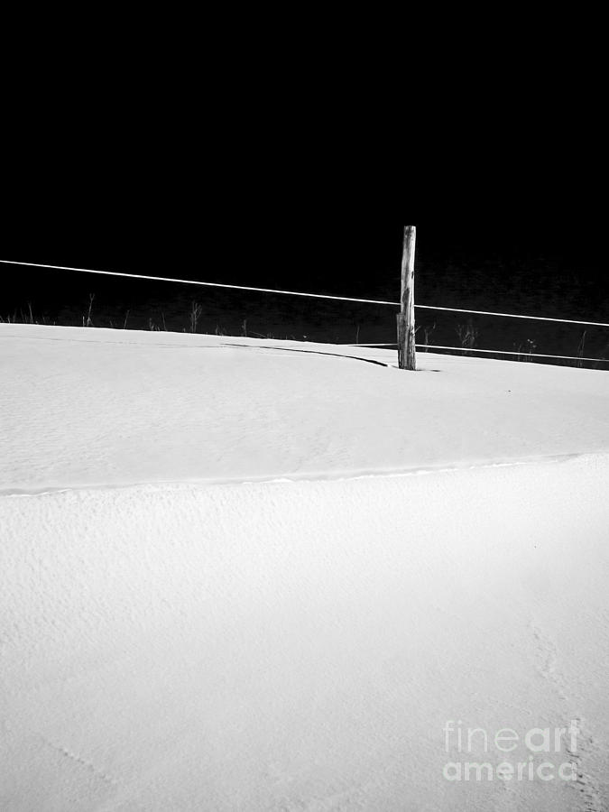 Winter Minimalism Black and White Photograph by Edward Fielding