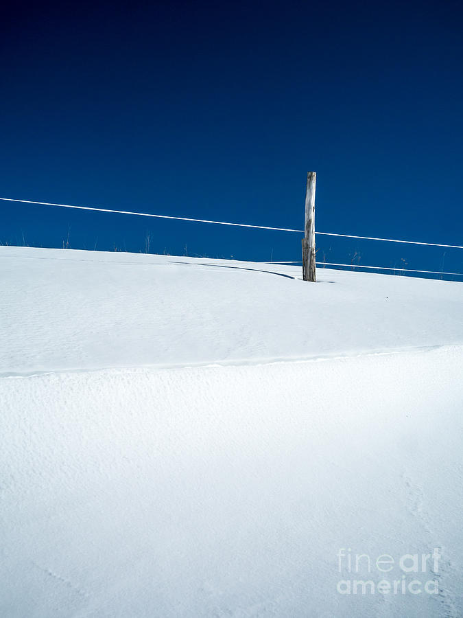 Winter Minimalism Photograph by Edward Fielding