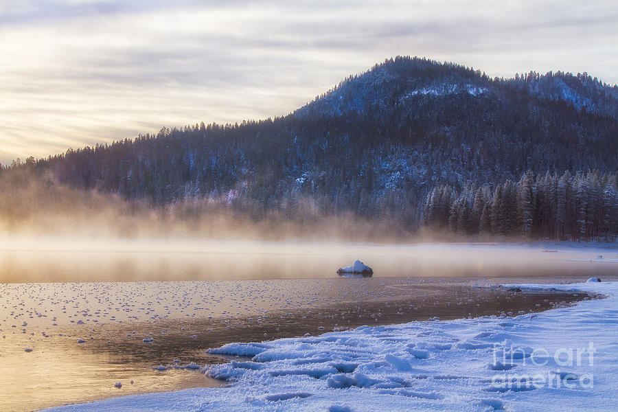 Winter Photograph - Winter Mist by Anthony Michael Bonafede