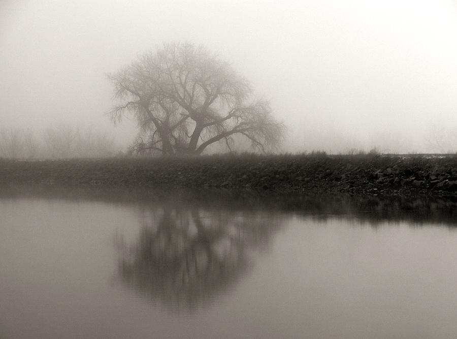 Winter Mist Photograph