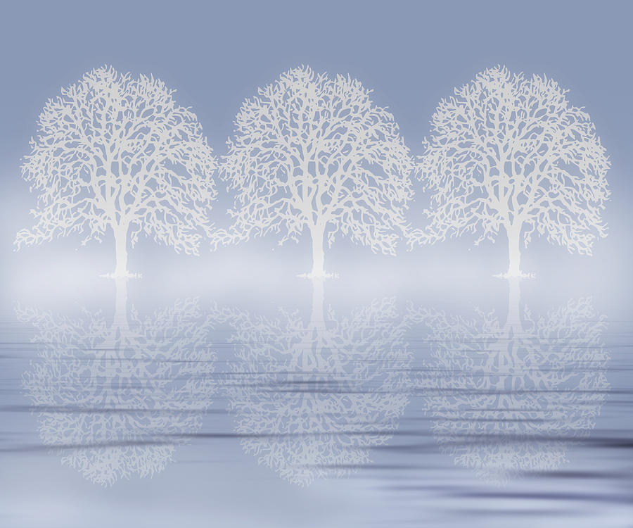 Tree Digital Art - Winter Mist On Water by Georgiana Romanovna