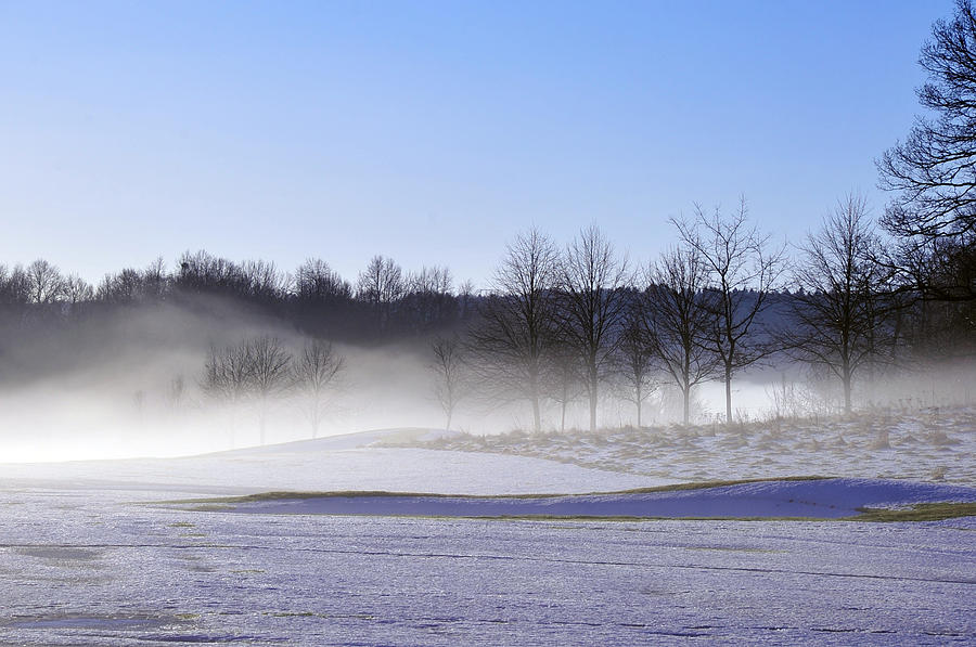 Winter Mist Photograph by Randi Grace Nilsberg