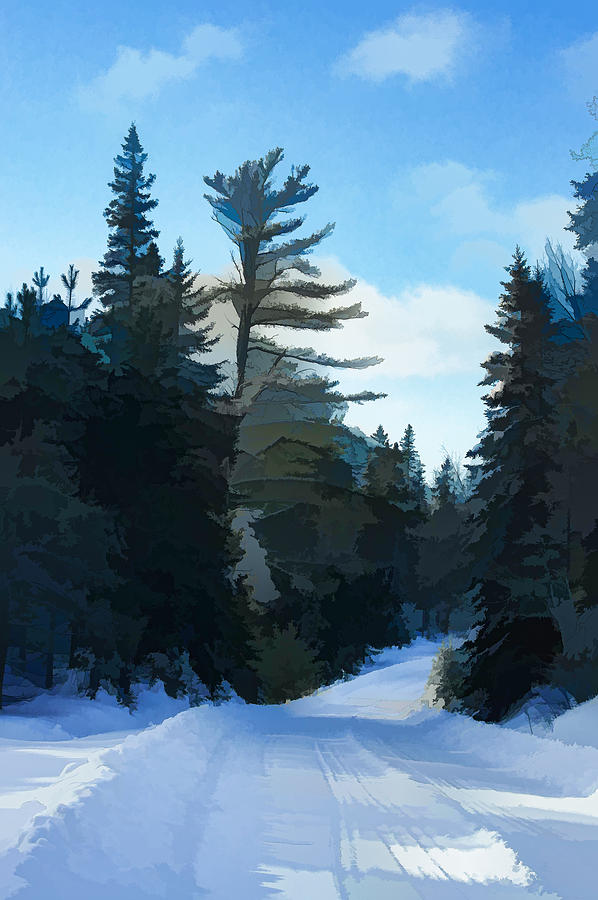 Winter Mood Impressions - Snowy Road in Algonquin Digital Art by Georgia Mizuleva