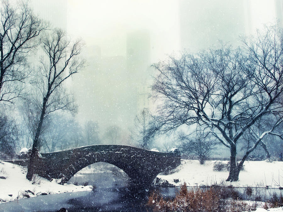 Winter Mood Photograph by Jessica Jenney