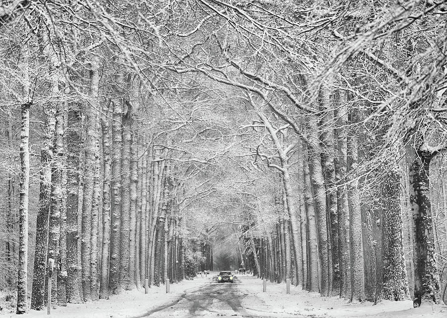 Winter Mood Photograph by Saskia Dingemans