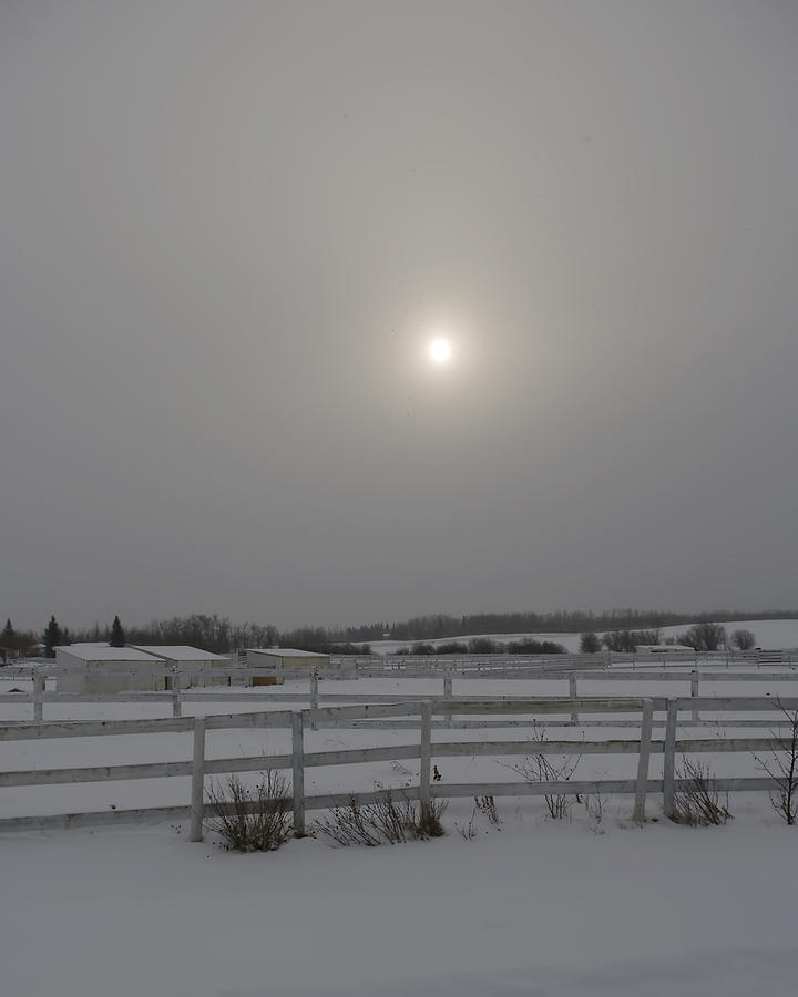Winter Moodiness Photograph by Rhonda McDougall