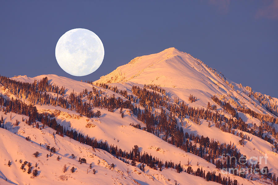 Winter Moon Photograph by Bill Singleton