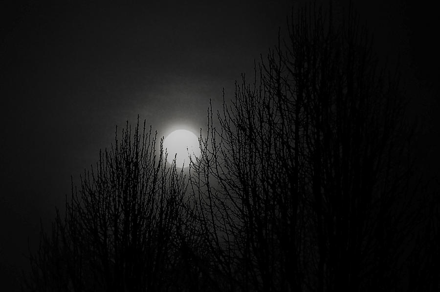 Winter Moon Photograph By Joji Ishikawa Pixels