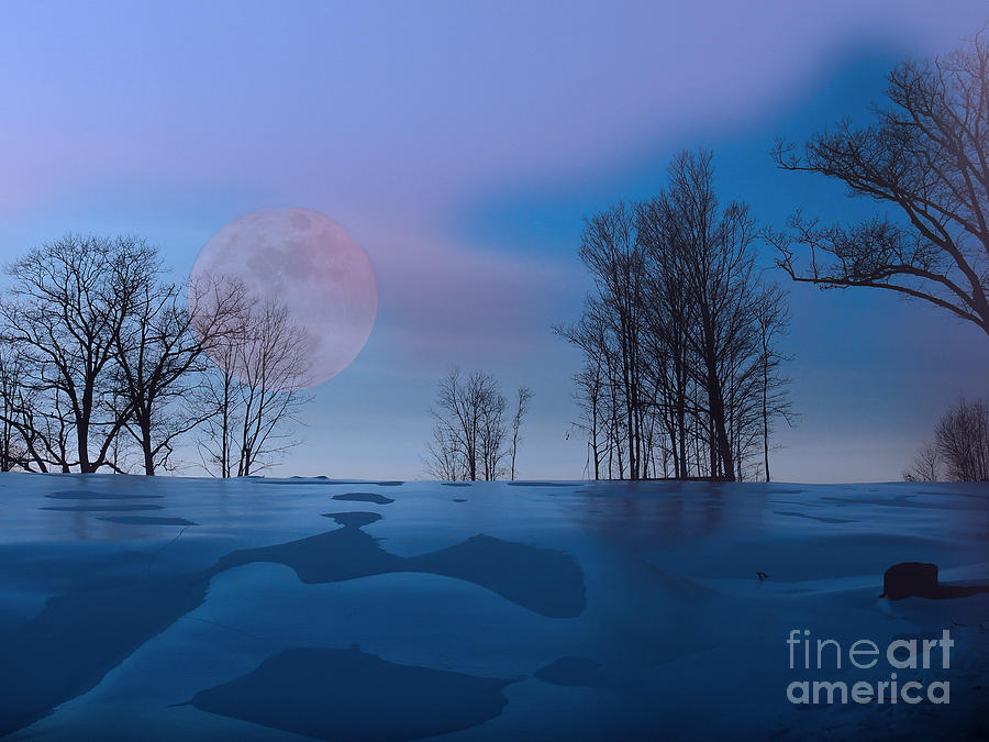 Winter Photograph - Winter Moon by Mim White