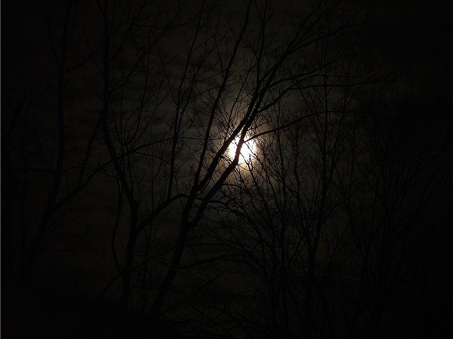 Moon Photograph - Winter Moon on Solstice Eve by Barbara Dolny-Bombar Moon Photograph - Winter Moon on Solstice Eve by Barbara Dolny-Bombar