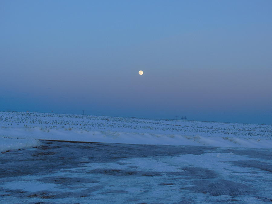 Winter Moon Rising Photograph by Wild Thing