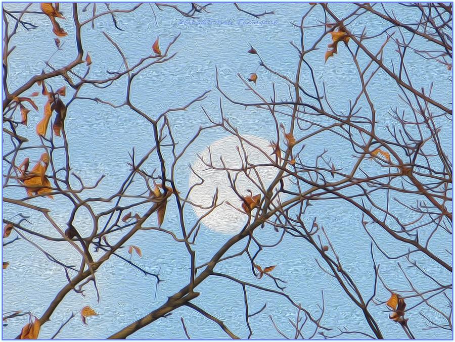 Moon Photograph - Winter Moon by Sonali Gangane