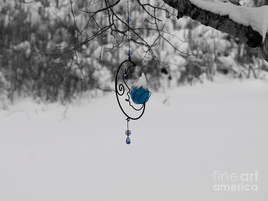 Winter Moon Photograph by Tara Lynn