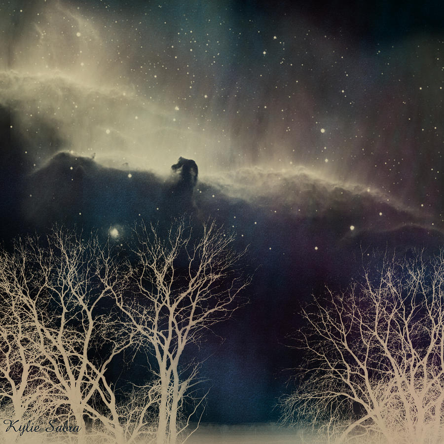 Winter Digital Art - Winter Moonlight by Kylie Sabra