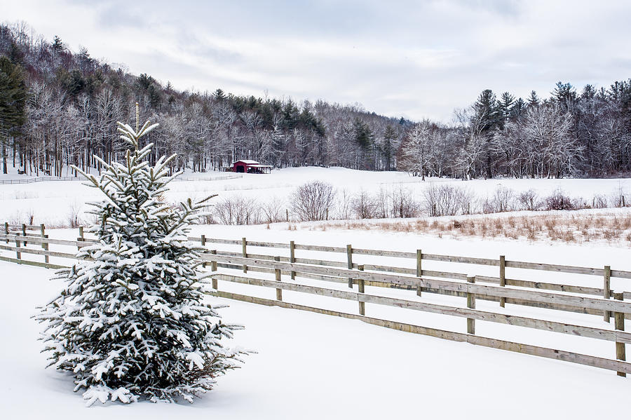 Mountain Photograph - Winter Morn on the Farm by Rob Travis