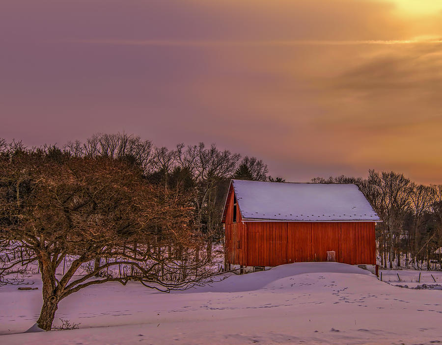 Winter morning Photograph by Dave Sandt