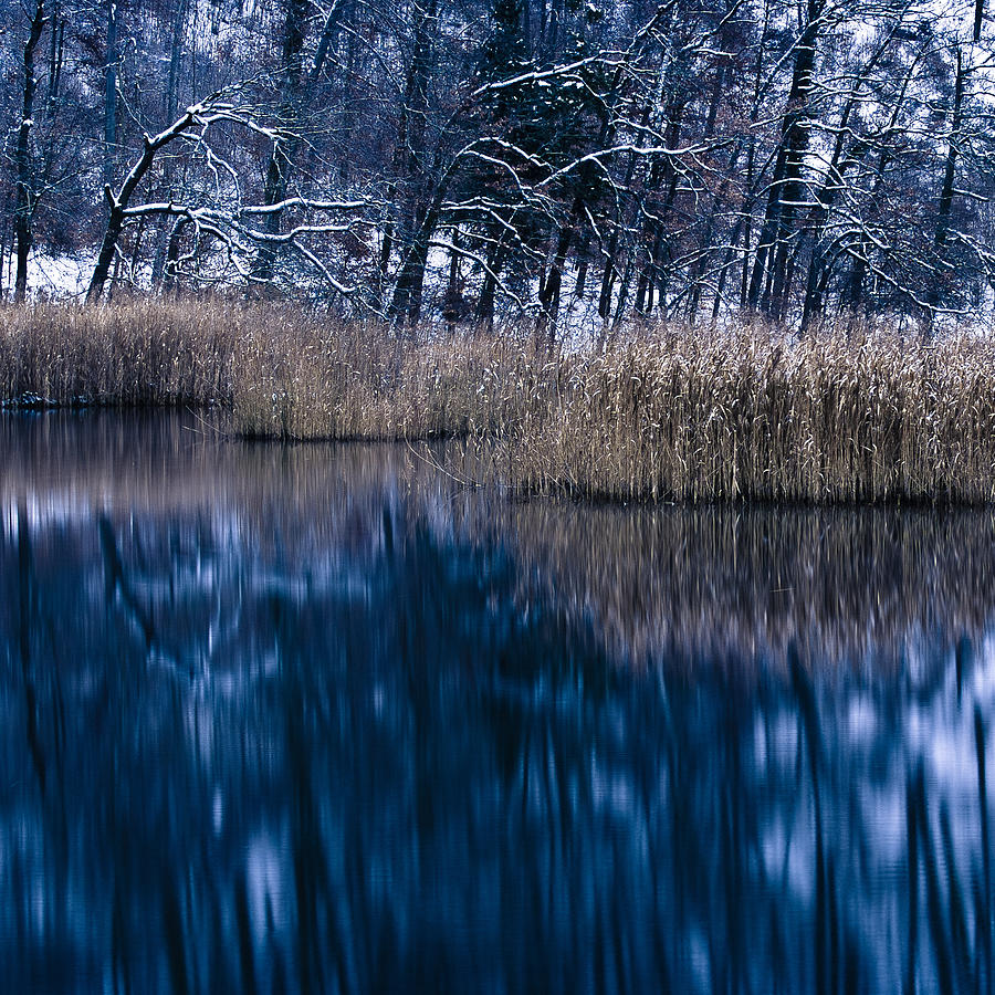 Winter Morning II Photograph by Alexander Kunz