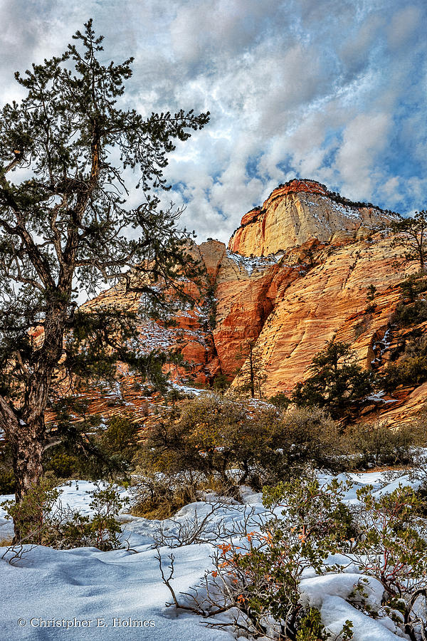 Winter Morning In Zion Photograph by Christopher Holmes