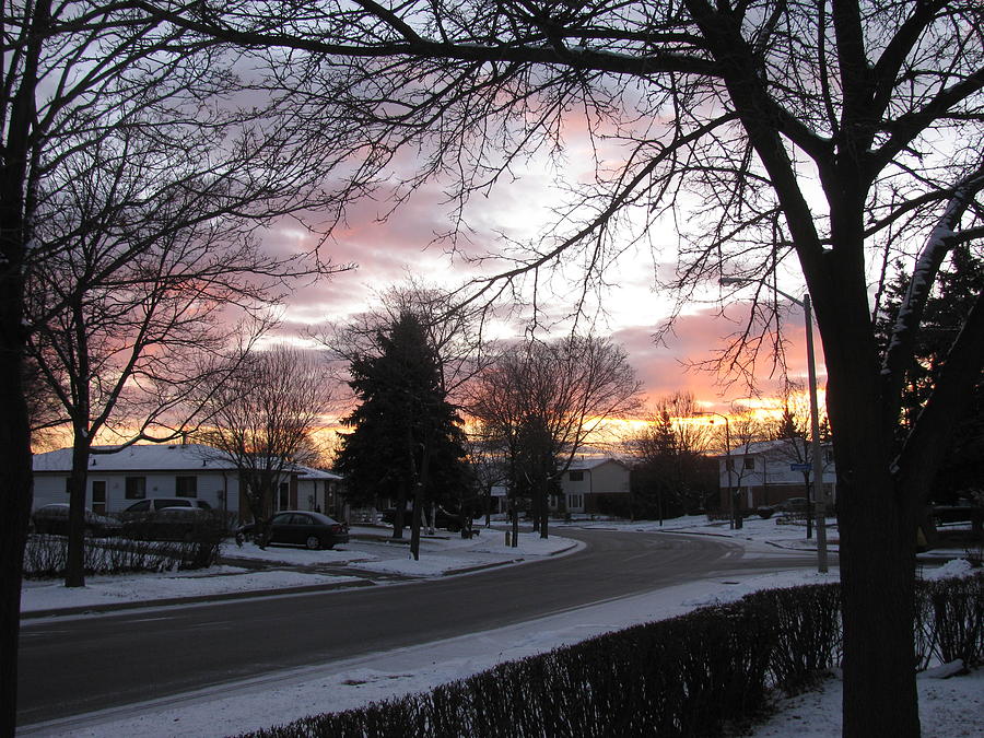 Winter Morning On My Street Photograph by Alfred Ng