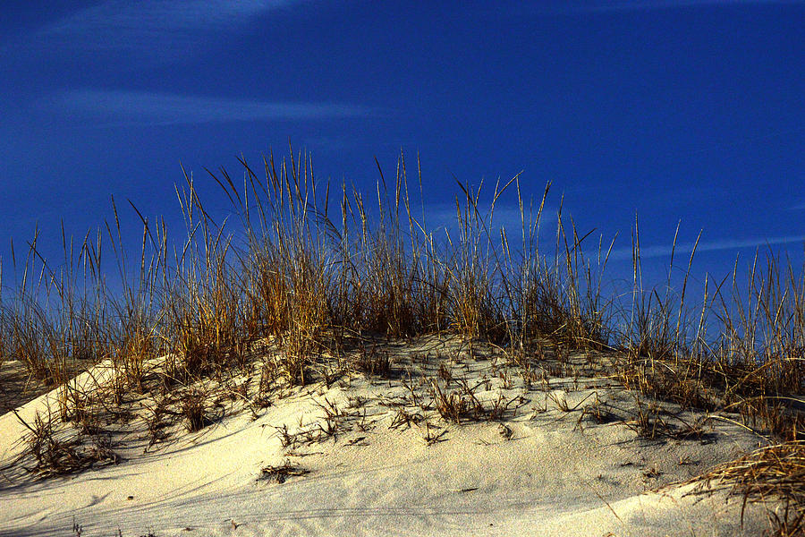 Winter Morning on the Dunes Photograph by Bill Swartwout