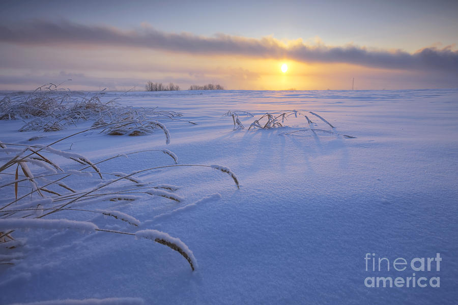 Farm Photograph - Winter Morning on the Prairie by Dan Jurak