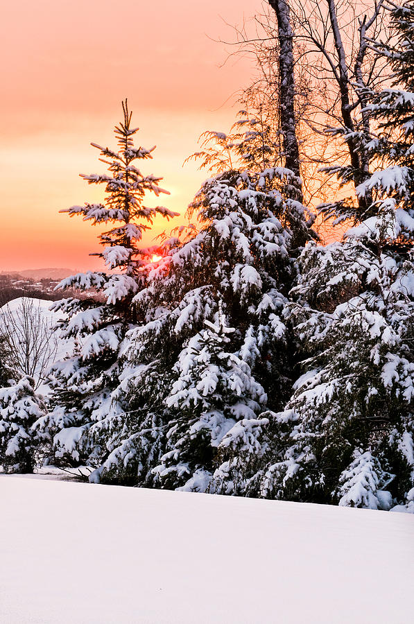 Winter Photograph - Winter morning sunrise by Jay Seeley