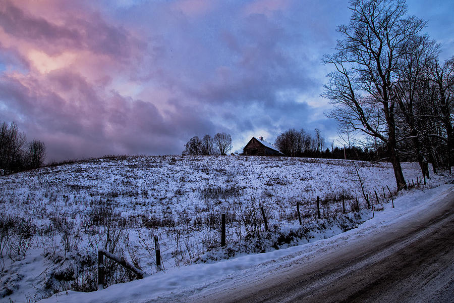 Winter Morning Photograph by Tom Singleton