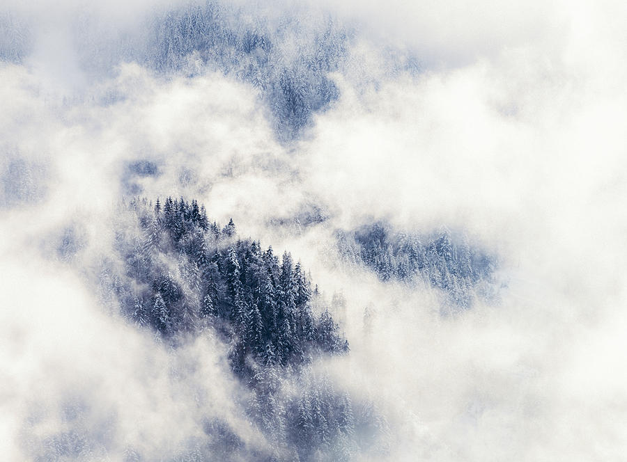 Winter mountain forest shrouded in mist Photograph by Georgeclerk