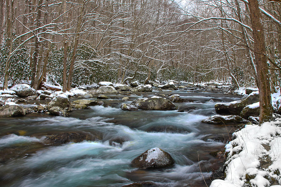 Winter Mountain Stream Photograph by Shari Jardina