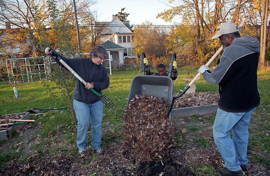 Winter Mulching In A Community Garden Photograph by Jim West