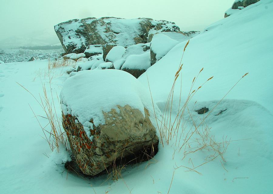 Winter Near Frank Slide Alberta Photograph by Jeff Swan