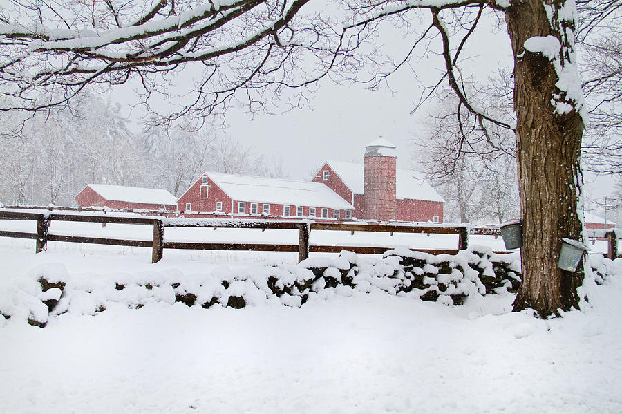 Winter New England Farm Photograph by Dale J Martin