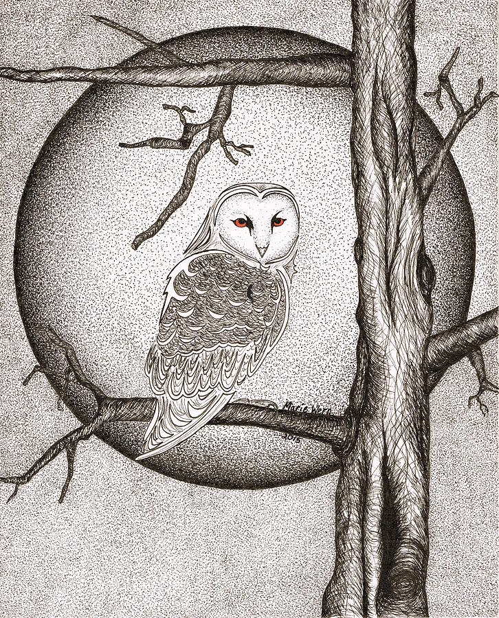 Winter Drawing - Winter Night by Marie Wern