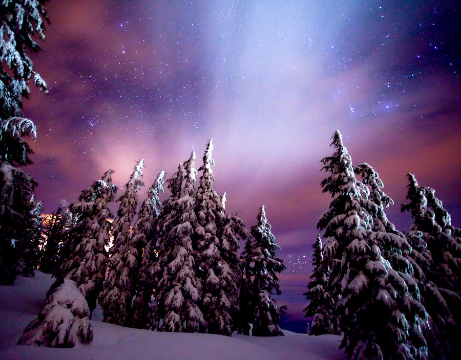 Winter Nights Photograph by Darren White