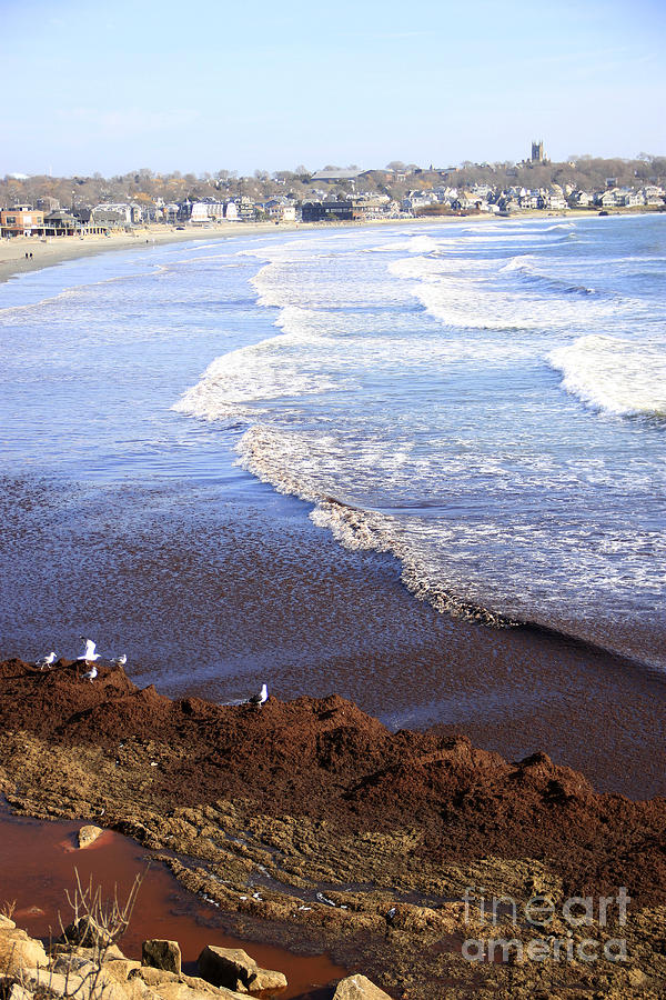 Cold Water Photograph - Winter Ocean in Newport RI by Mike Mooney Cold Water Photograph - Winter Ocean in Newport RI by Mike Mooney