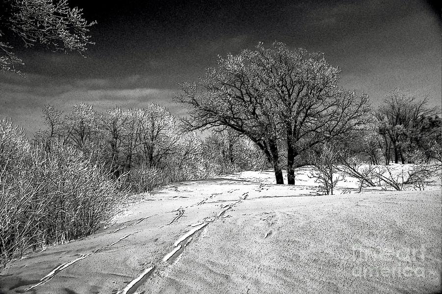 Winter of Times Past Photograph by Rick Rauzi