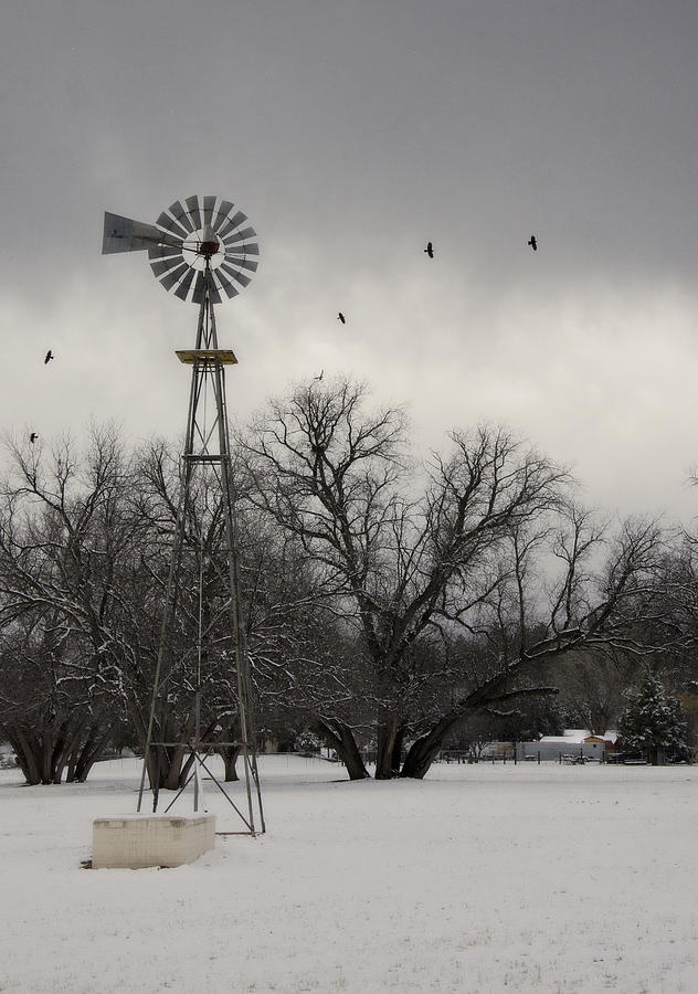 Winter on a Farm  Photograph by Saija Lehtonen