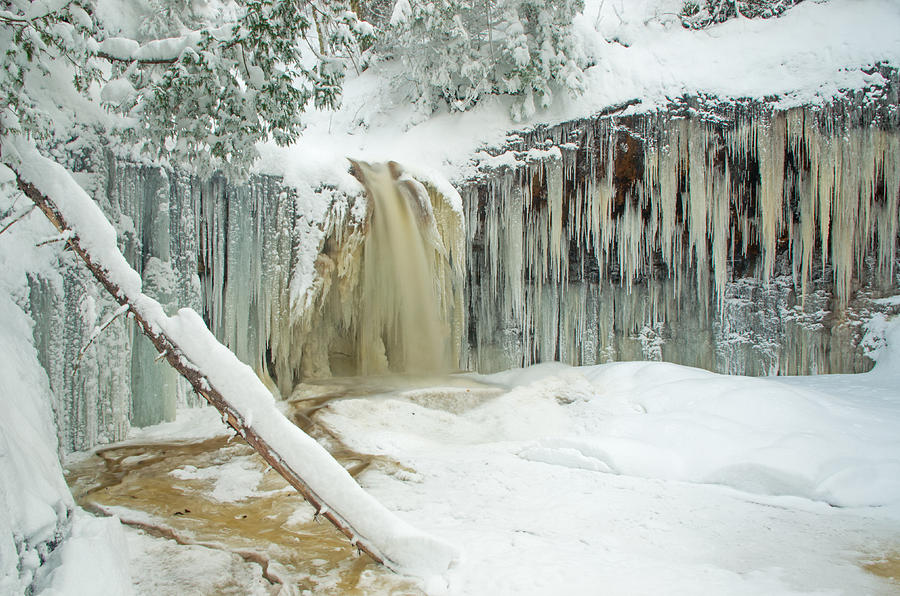 Winter on Carpenter Creek Photograph by Gary McCormick
