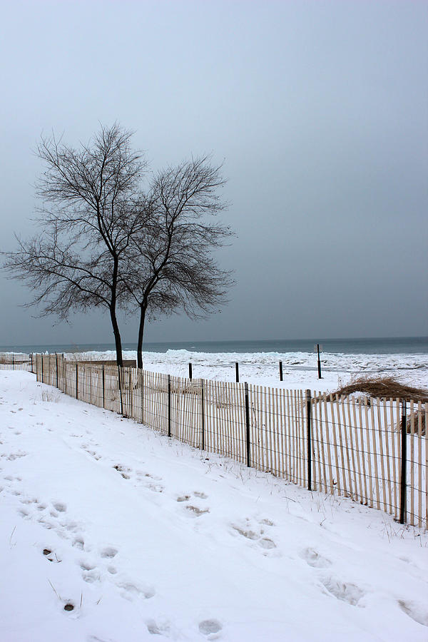 Winter on Lake Huron 2 Photograph by Mary Bedy