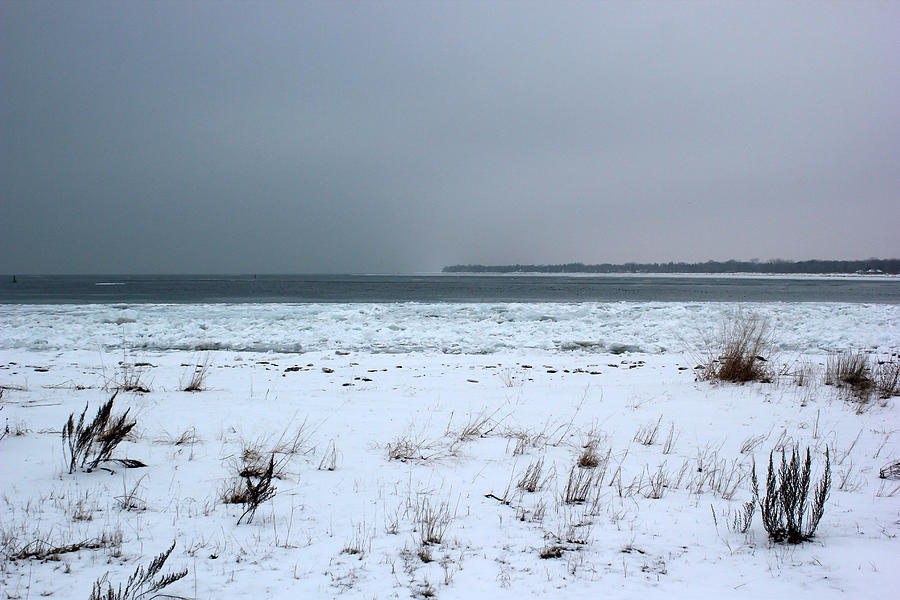 Winter on Lake Huron Photograph by Mary Bedy