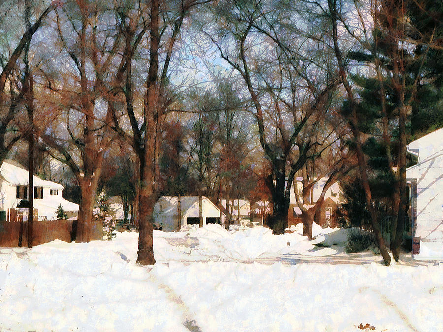 Winter on My Street Photograph by Susan Savad