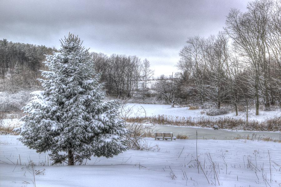 Winter Photograph - Winter on Tanglewood Pond by Laurie Cybulak