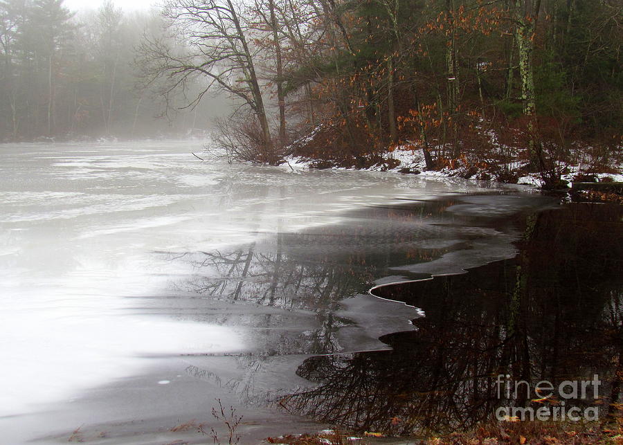 Winter on Tarklin Pond Photograph by Lili Feinstein