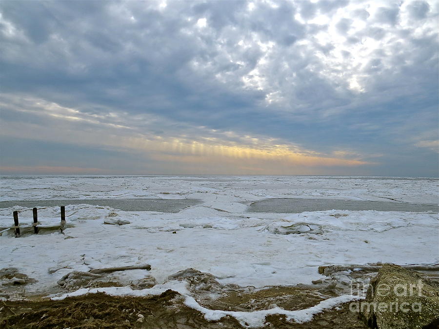 Winter On The Delaware Bay  Photograph by Nancy Patterson