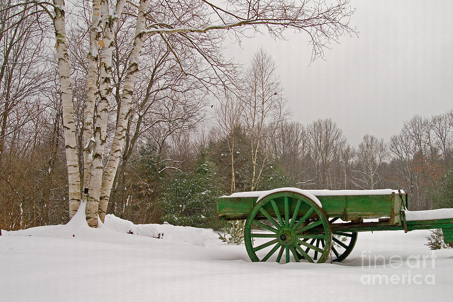 Winter Photograph - Winter on the Farm by Alana Ranney