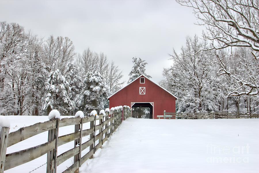 Winter Photograph - Winter on the Farm by Benanne Stiens
